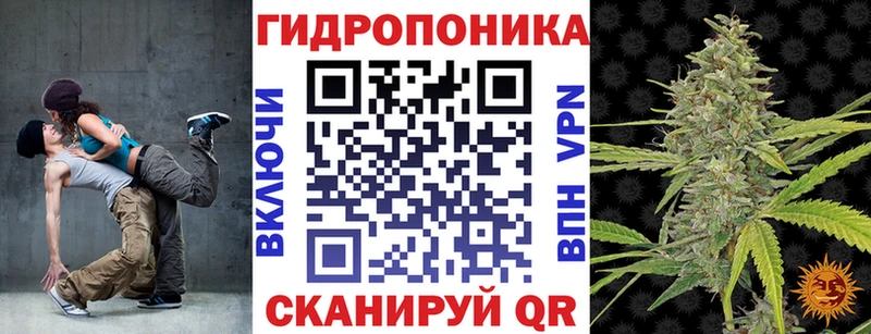Конопля гибрид  где найти   Кондопога 